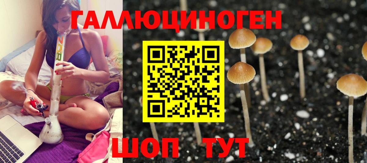 Галлюциногенные грибы GOLDEN TEACHER Ессентуки